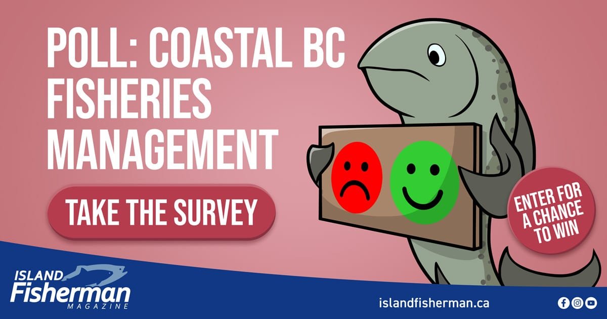 Cartoon illustration of a fish character holding red and green response cards for a survey on coastal BC fisheries management.