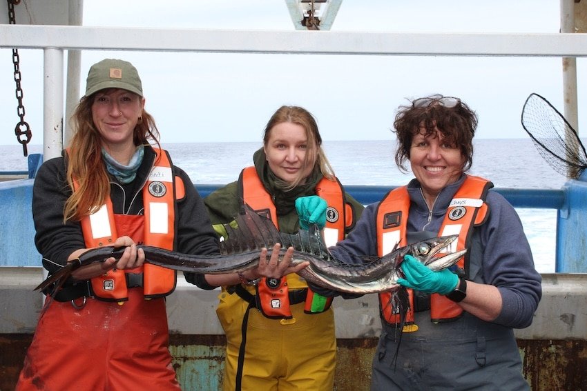 A daggertooth (Anotopterus pharaoh) caught in the study. This is a known predator of juvenile steelhead and Pacific salmon. From left to right: Rebecca LaForge, Svetlana Esenkulova, and Chrys Neville.