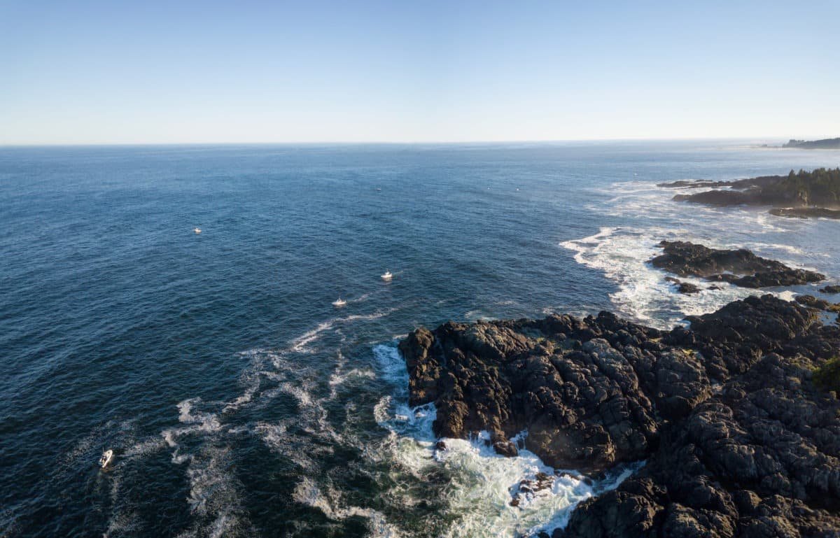 Bamfield Fishing Report