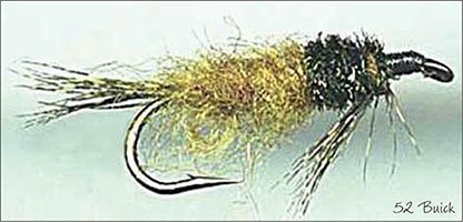 52 Buick - Fly of the Month