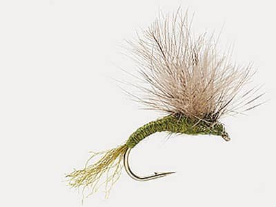 CDC Mayfly Emerger