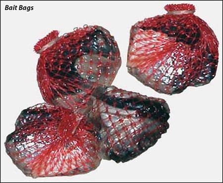 Halibut Basics: Bait