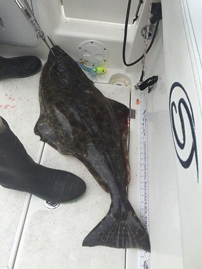 March 2018 Halibut Update: Vancouver Island