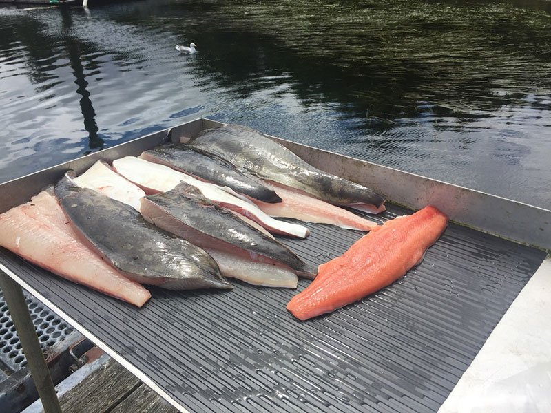 March 2018 Halibut Update: Vancouver Island