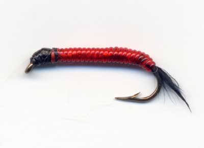 Larva Lace Bloodworm
