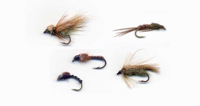 Vancouver Island Spring Hatches