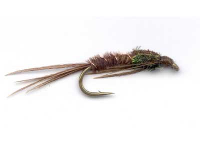 Pheasant Tail Nymph