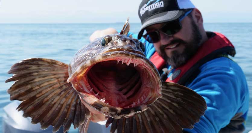 Ling Cod fishing on Vancouver Island