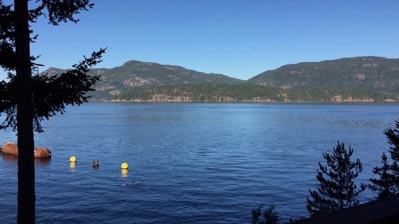 Applying River Techniques to Ocean Fishing