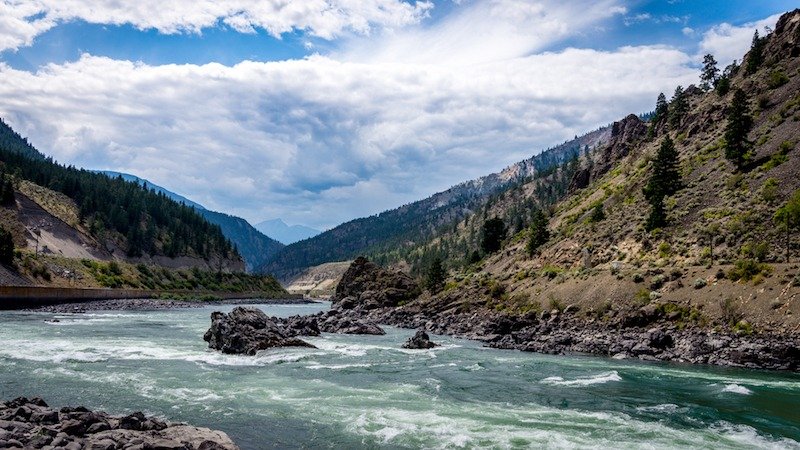 Historic Fraser River Sockeye Run of 2025 Far Exceeds Forecasts 