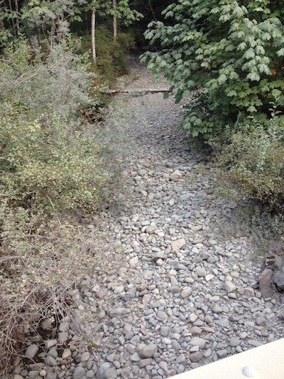 The State Of Coho 2018