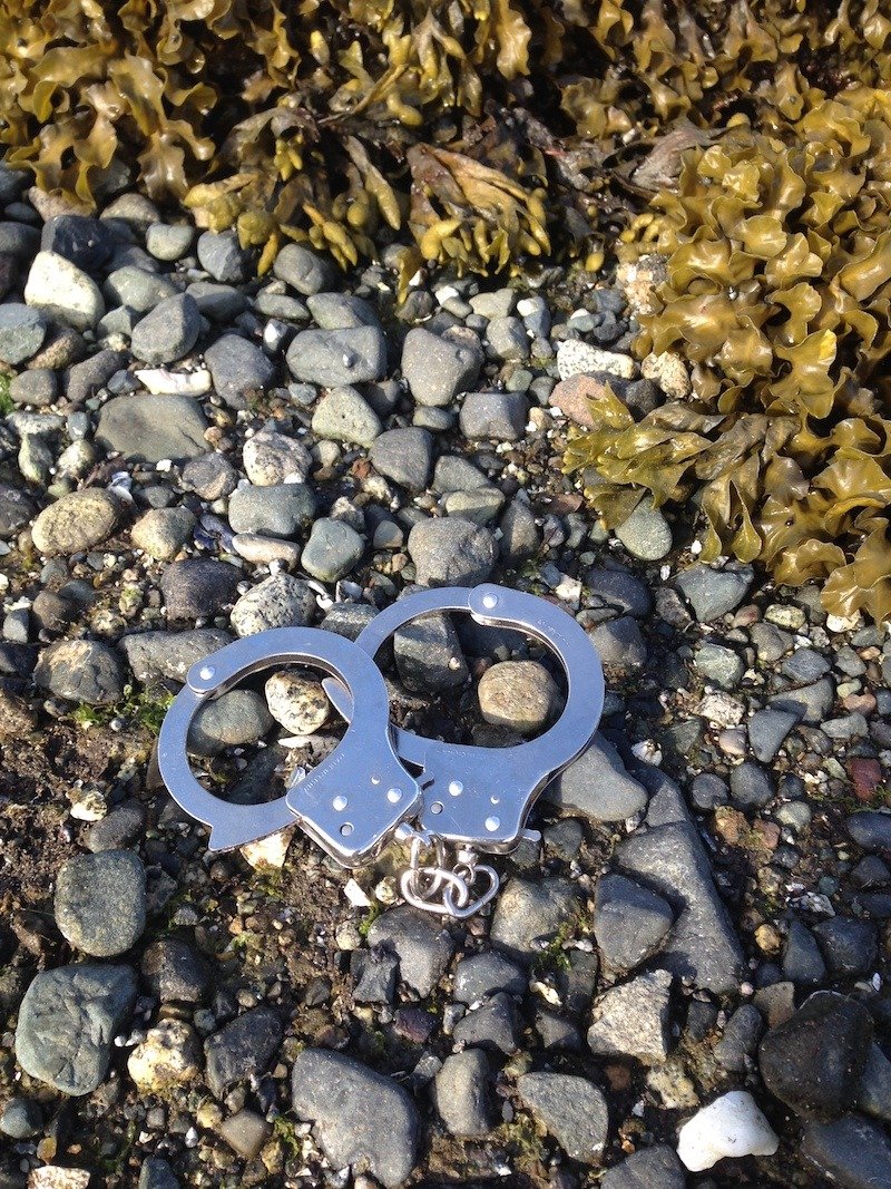 Poachers: Observe, Record, And Report