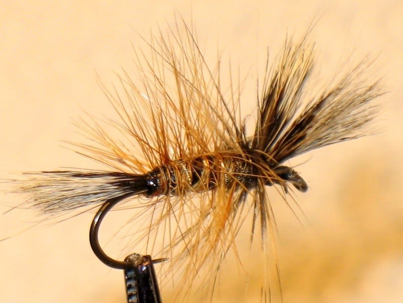 A brown palmered fly fishing lure with a hook, featuring long, fine fibers and a mix of brown and black materials.