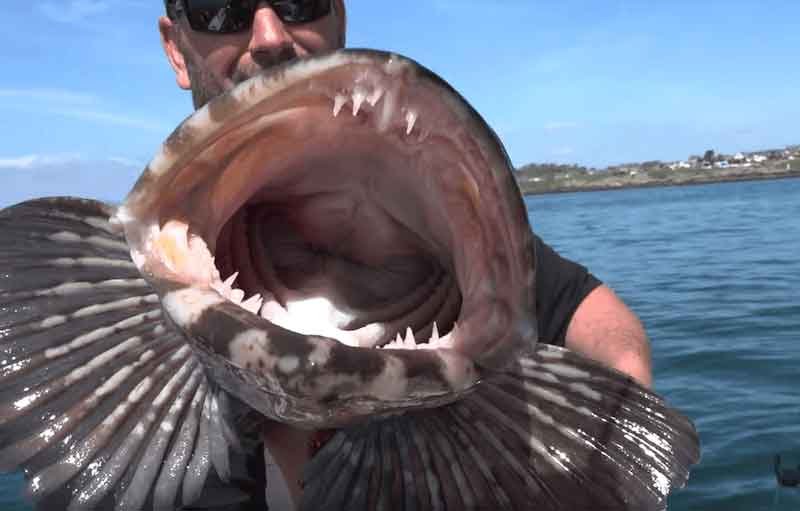 Trevor Zboyovsky with his pal "Billy The Ling"