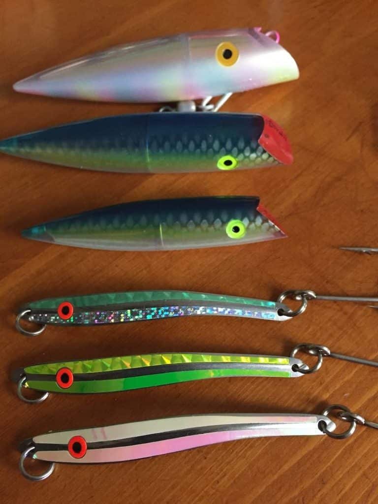 Winter Chinook Fishing: The Essentials