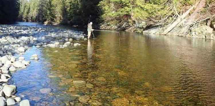 Steelhead Fly-Fishing
