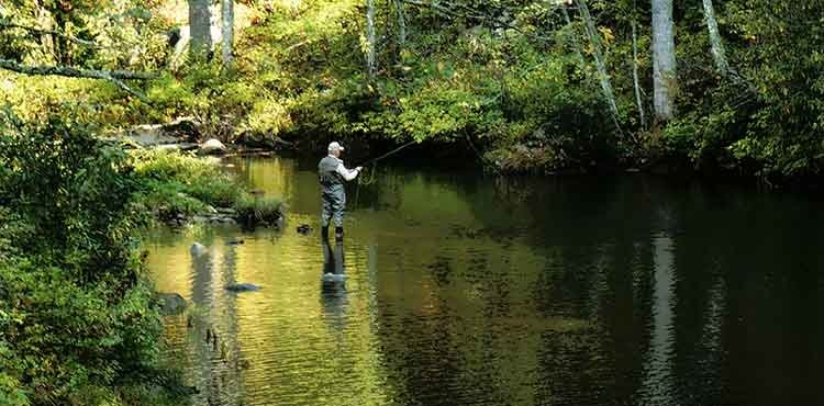 Shallow Water Solutions