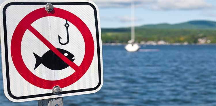 Concerns Over Looming DFO Decision for Chinook Fishing Closure