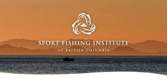 SFI Update: Whales Initiative