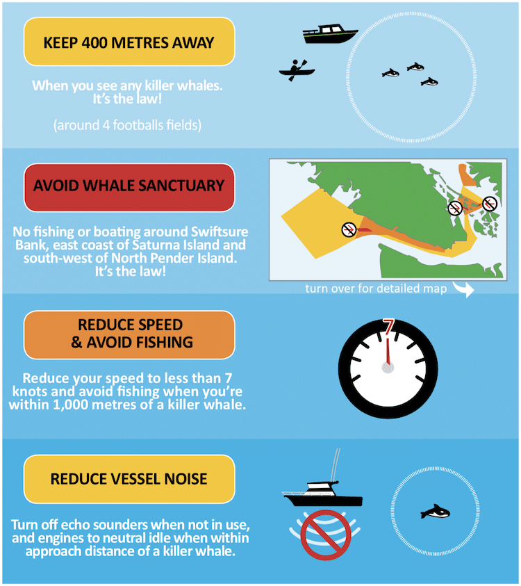 SFI Update: Whales Initiative