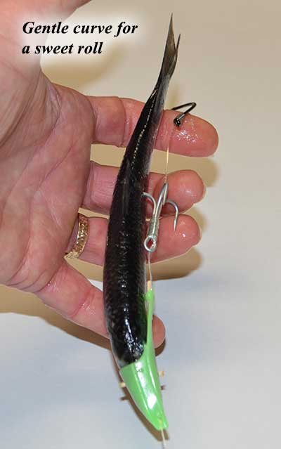 Gentle Curve For a Sweet Roll