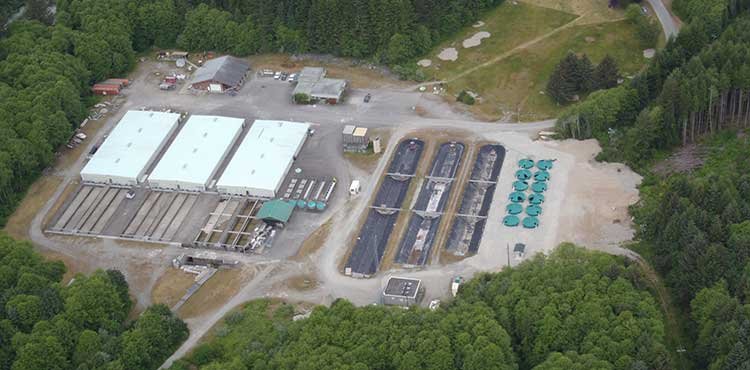 Nitinat River Hatchery