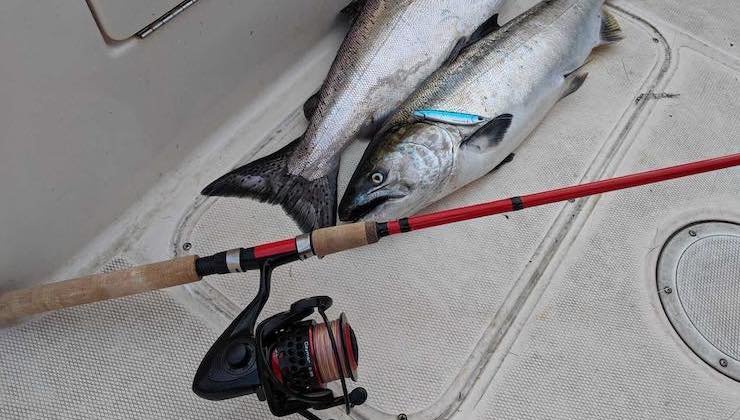 Two salmon fish lying on a boat deck next to a fishing rod with a spinning reel and a cork handle.