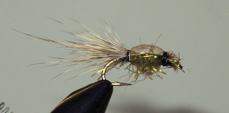 A detailed close-up of a shrimp fly tied with a mix of materials, featuring a translucent body, long tail fibers, and a metallic hook.
