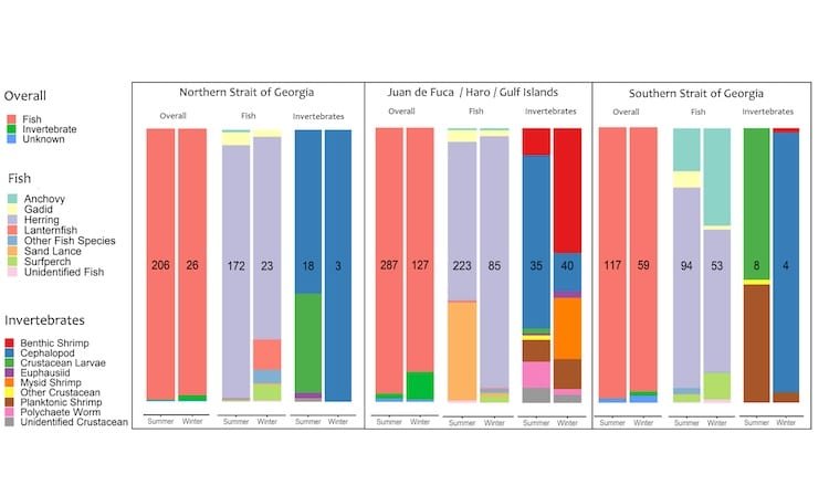 The UVic Chinook and Coho Diet Study