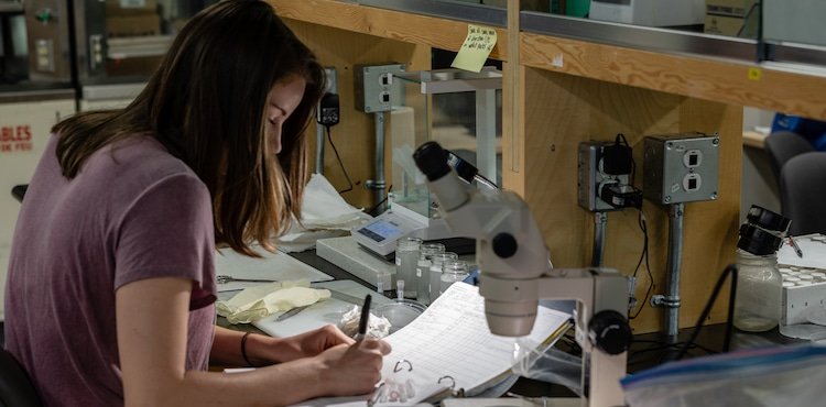A researcher writing notes while working at a lab bench with a microscope and various lab equipment.