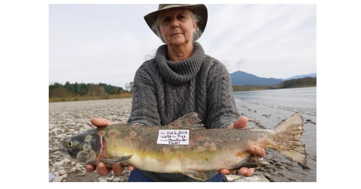 Woman holding a large fish with a label, wearing a hat and a knitted sweater, standing by a riverbank.