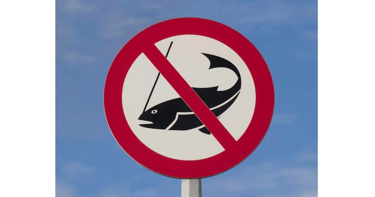 No fishing sign featuring a black fish silhouette crossed out with a red circle and line against a blue sky.