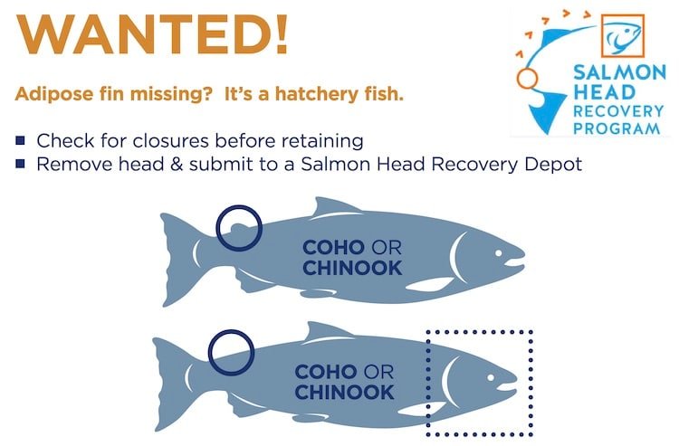 2020 – 2021 Sport Fishing Chinook Regulations Update, South Coast BC