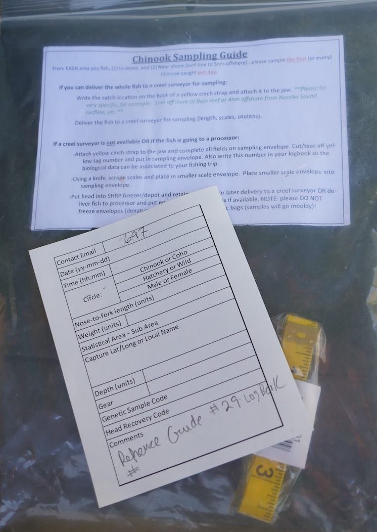 UVic Salmon Diet Study Going Strong, But Needs Your Help!