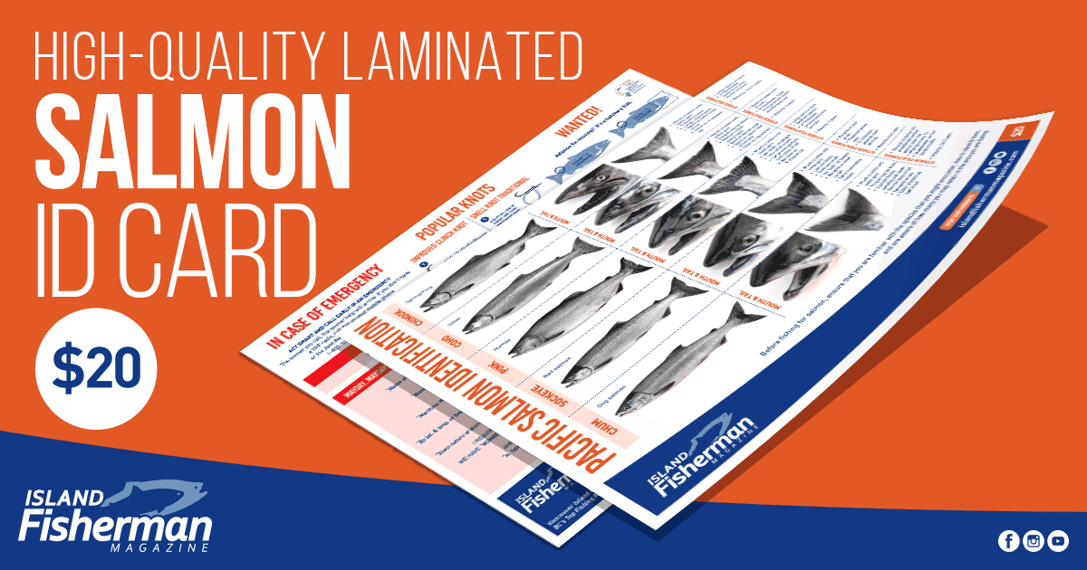 Laminated Salmon ID Card