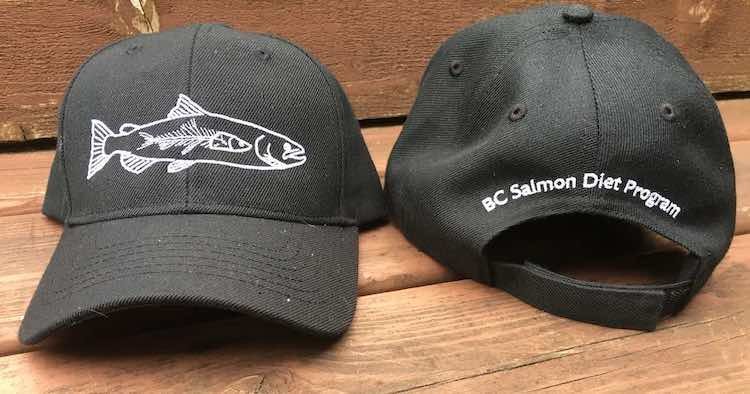 UVic Salmon Diet Study Going Strong, But Needs Your Help!