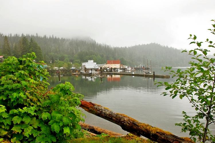 Wonderful Winter Harbour