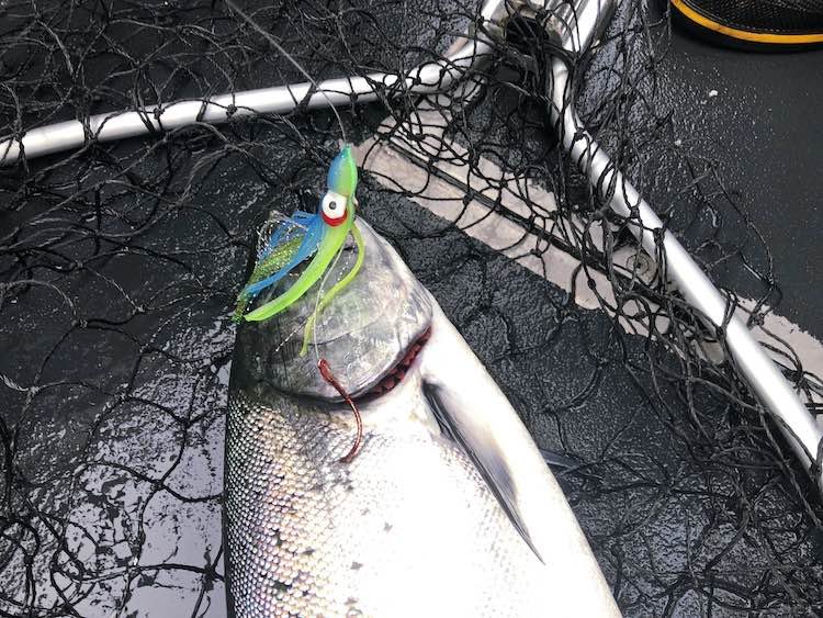 Wonderful Winter Harbour