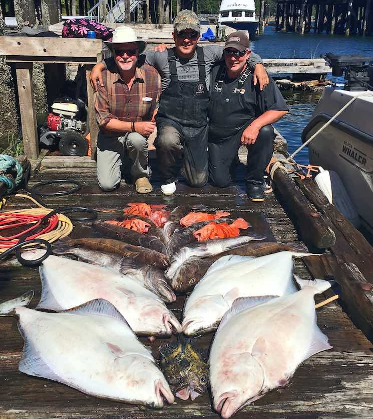 Wonderful Winter Harbour