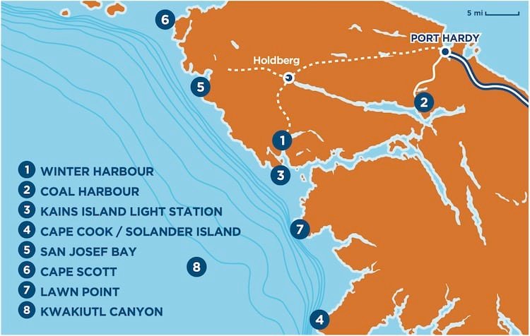 Wonderful Winter Harbour