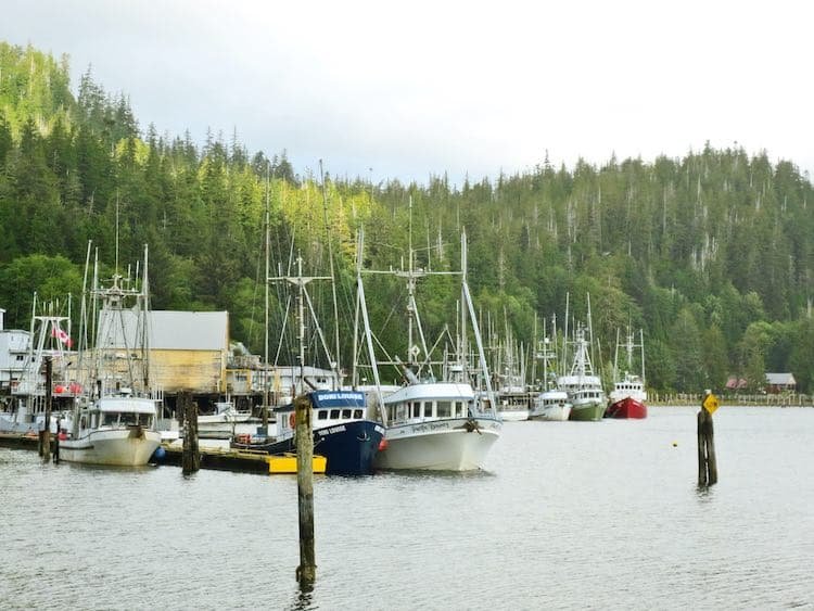 Wonderful Winter Harbour