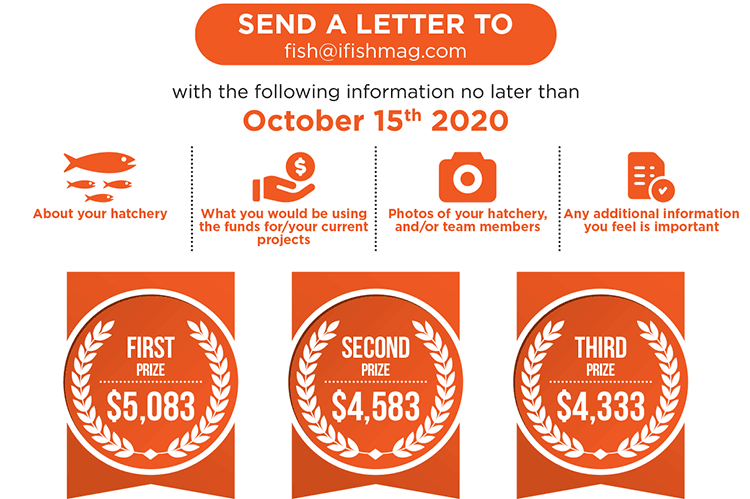 Fish Hatchery Challenge: Sons and Sisters of Salmon