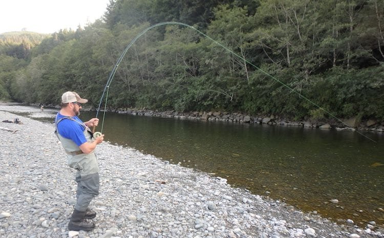 Catching Pink Salmon