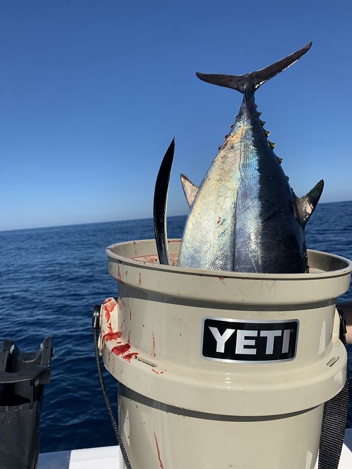 Albacore Tuna Fishing—West Coast Vancouver Island