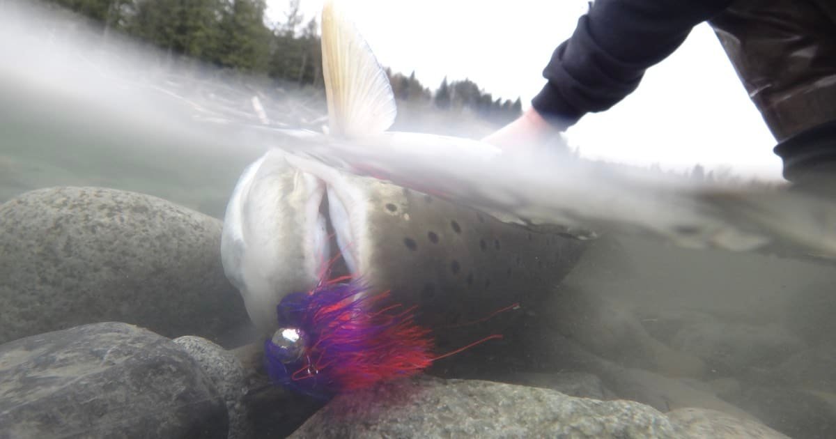 Close-up of a fish being caught underwater, with a colorful lure visible near its mouth and rocks in the background.