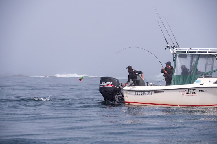 2020 Westview Marina’s Salmon Enhancement Derby
