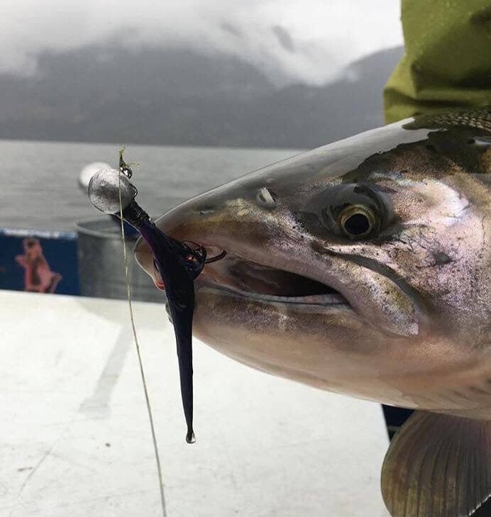 Twitching, Hopping, and Jerking Jigs like a Rockstar