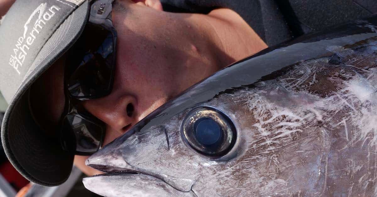 Close-up of a person wearing sunglasses and a cap, holding a large tuna fish near their face, showcasing the fish's detailed features.