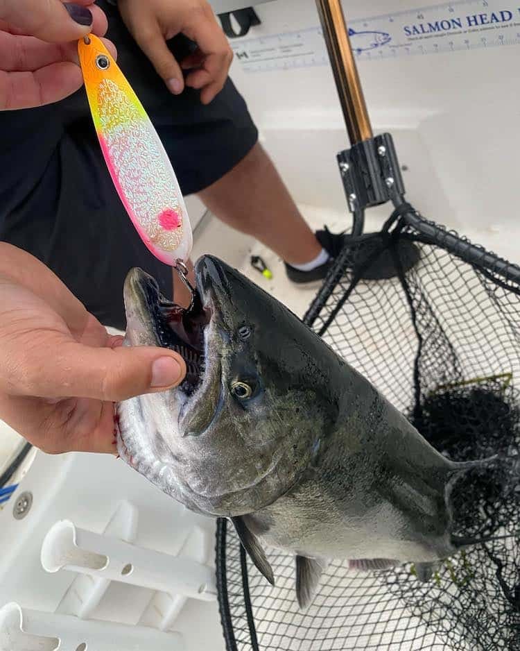 The 2020 Port Alberni Ultimate Fishing Derby