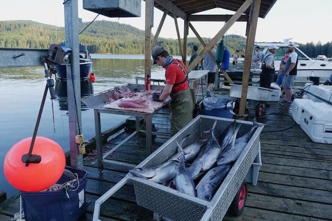 1st Annual Bounty in the Blue Tuna Classic a Success